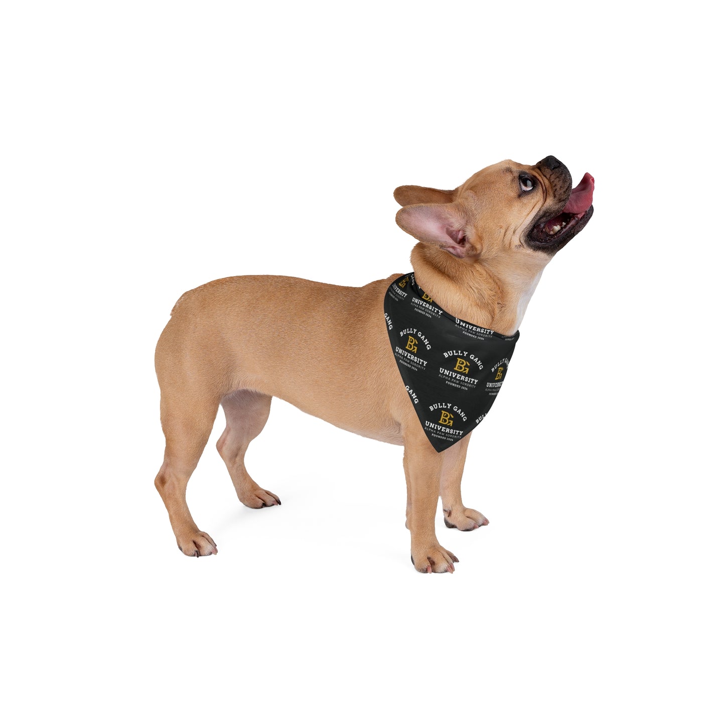 University Logo Pet Bandana — Black Repeat Emblem Dog & Cat Accessory