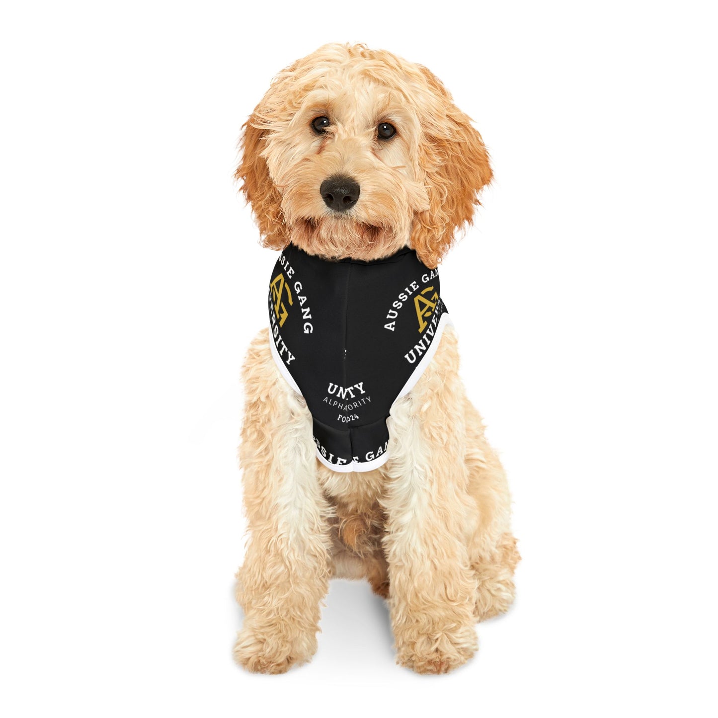 Aussie Gang University Pet Hoodie — Black College Logo Dog & Cat Hoodie