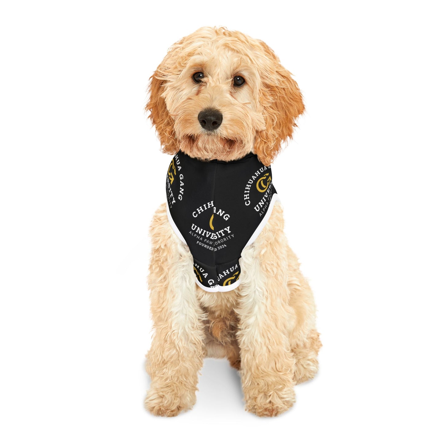 Chihuahua Gang University Pet Hoodie — Black Dog Hoodie with Logo Print