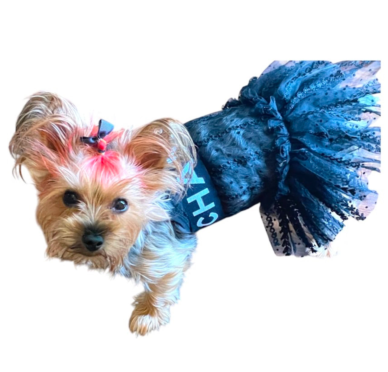 Midnight Runway Tutu Dress