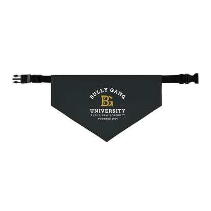Pet Bandana — "Bully Gang University" Collar Bandana for Dogs & Cats