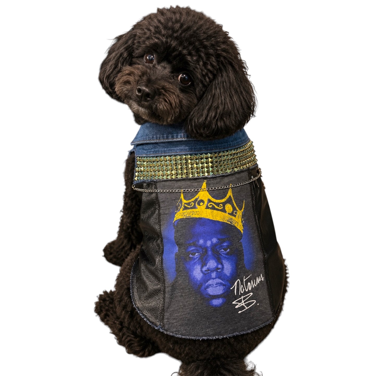 The Notorious D.O.G.