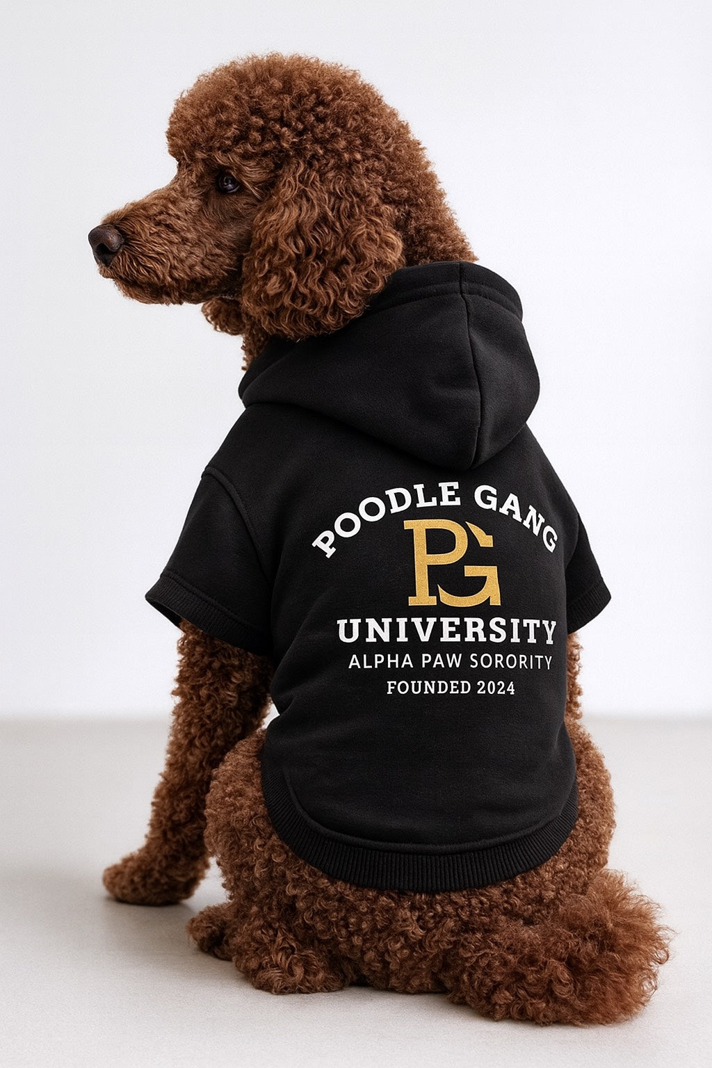 POODLE GANG