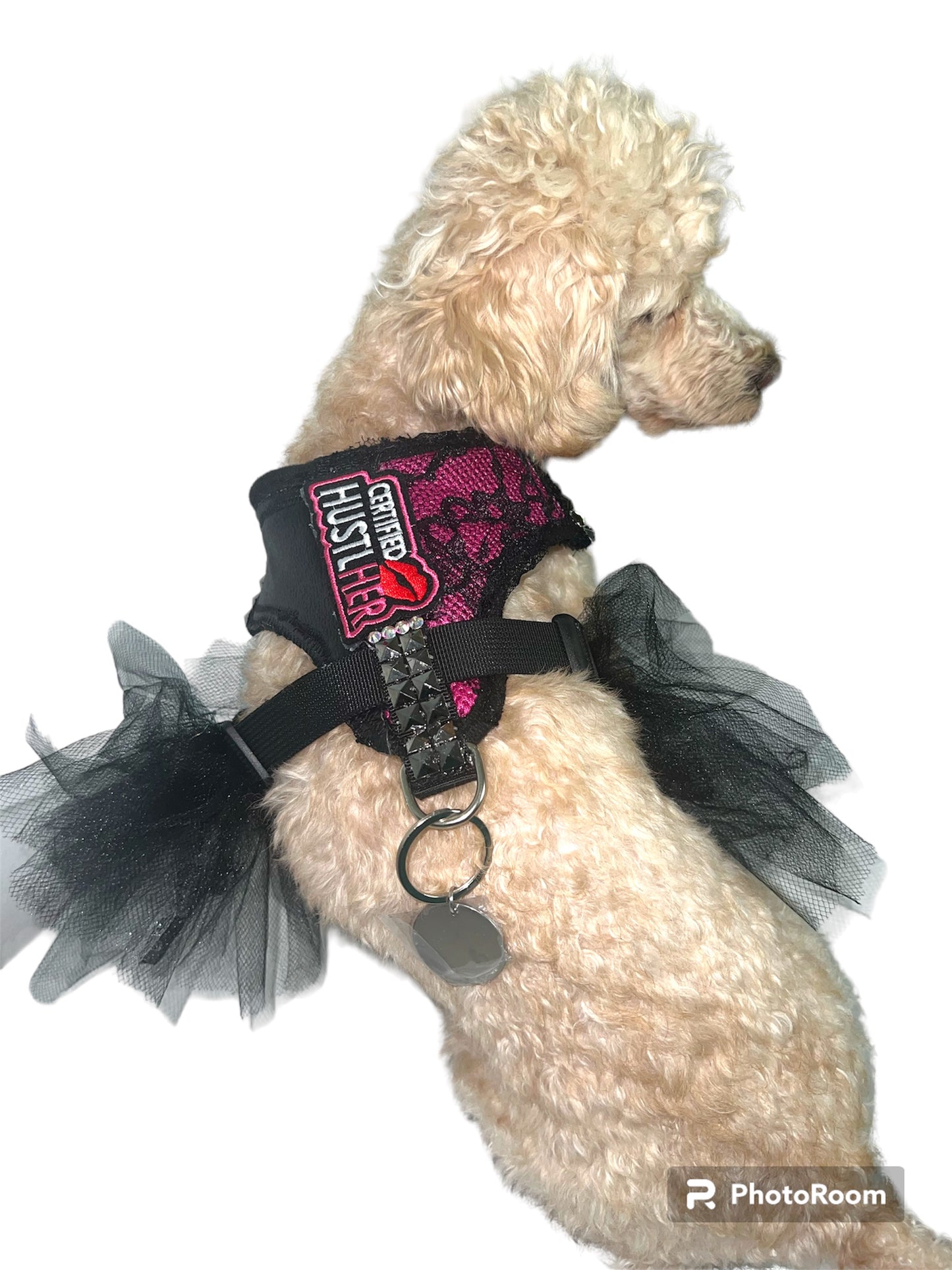 Harness