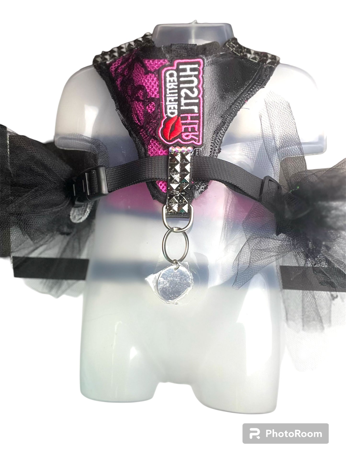 Harness