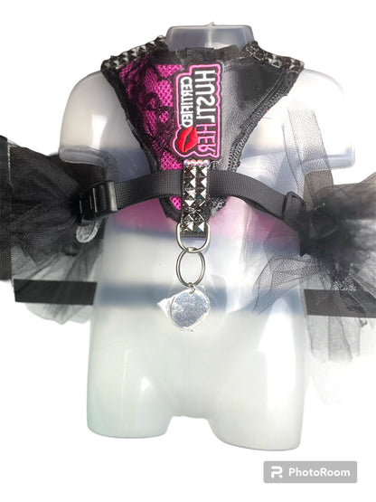 Harness